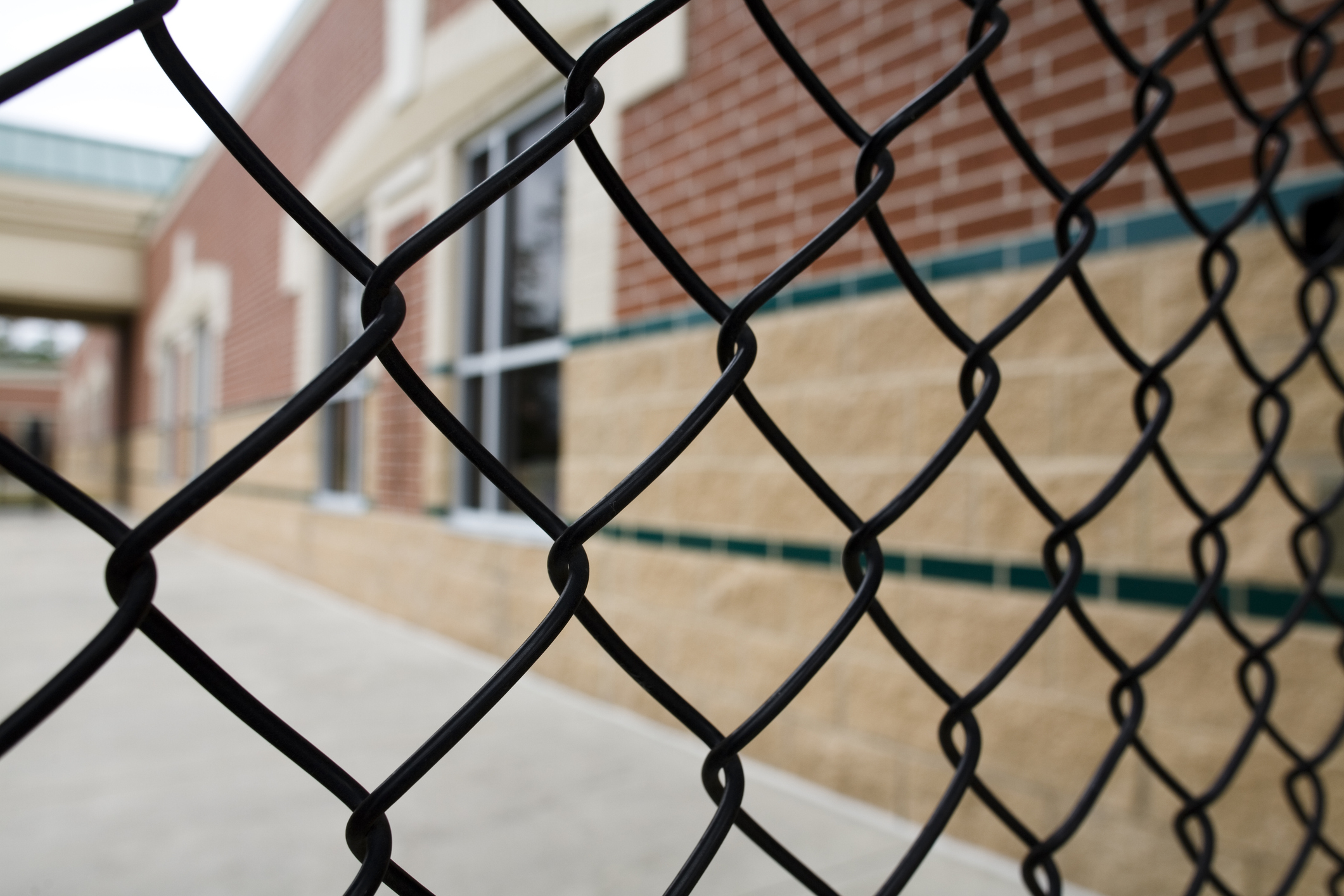 Chain Link Fence 1